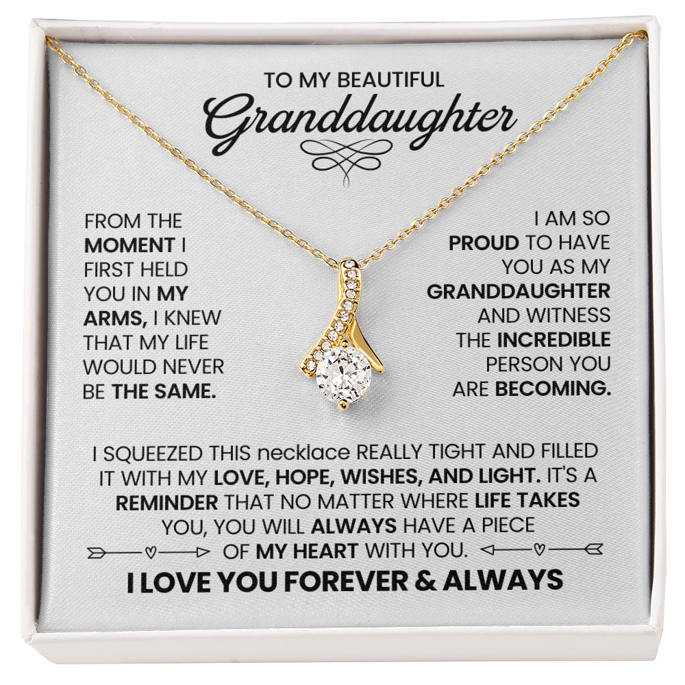 To My Granddaughter - From The Moment I First Held You In My Arms