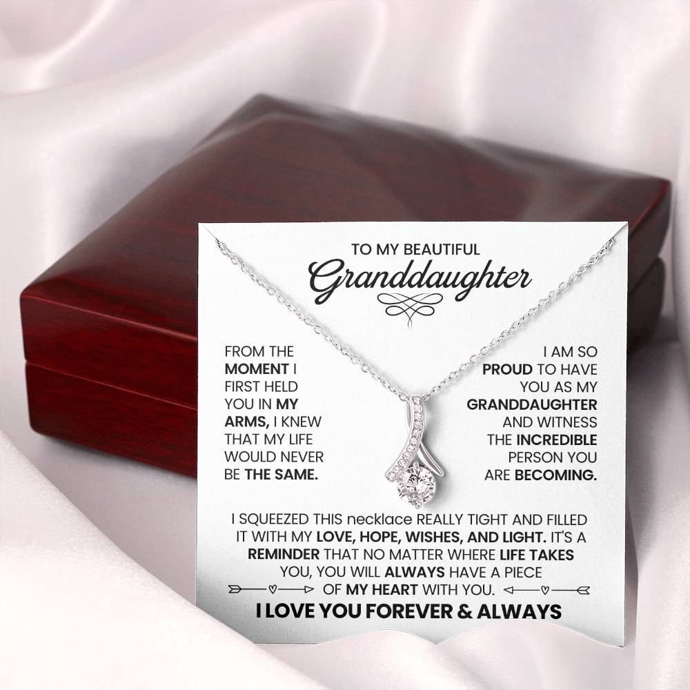 To My Granddaughter - From The Moment I First Held You In My Arms