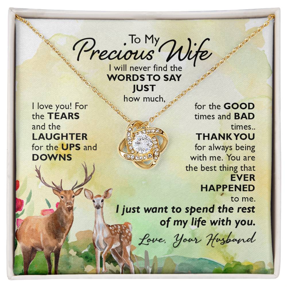 To My Precious Wife, I Will Never Find The Words To Say