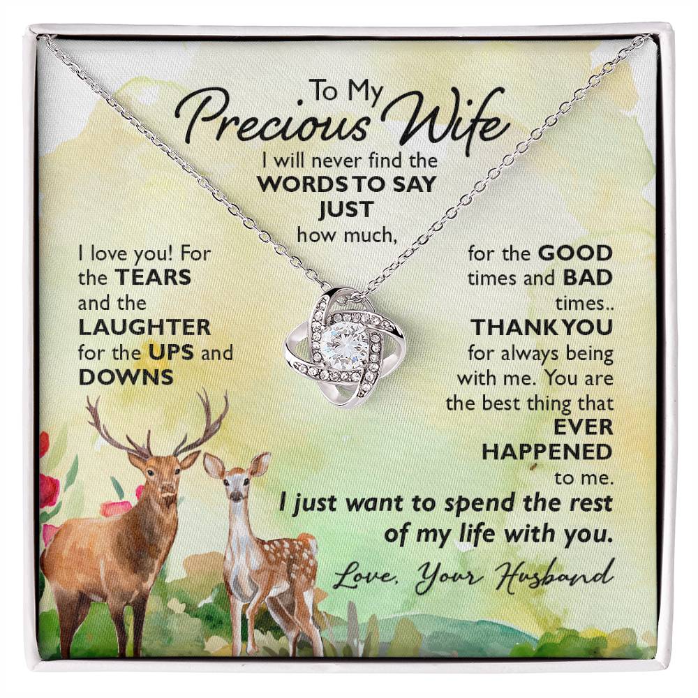 To My Precious Wife, I Will Never Find The Words To Say