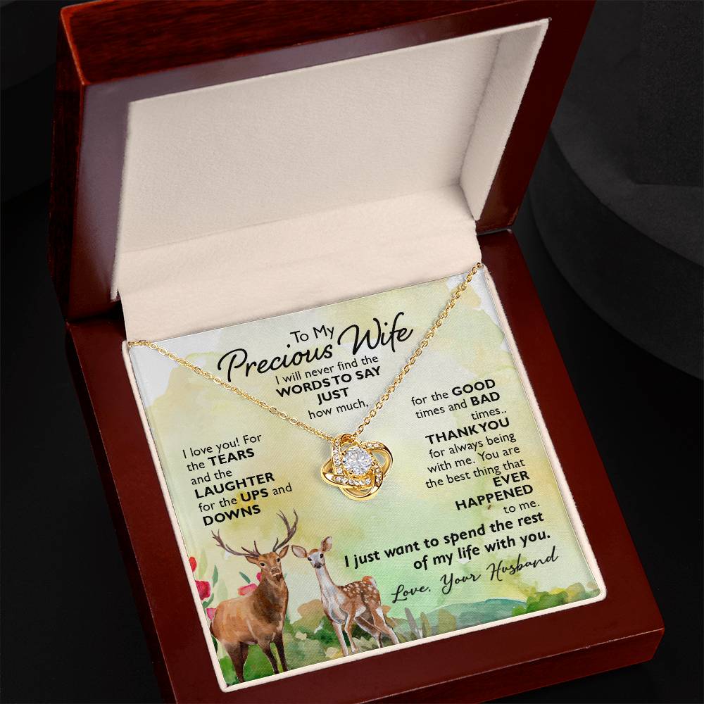 To My Precious Wife, I Will Never Find The Words To Say