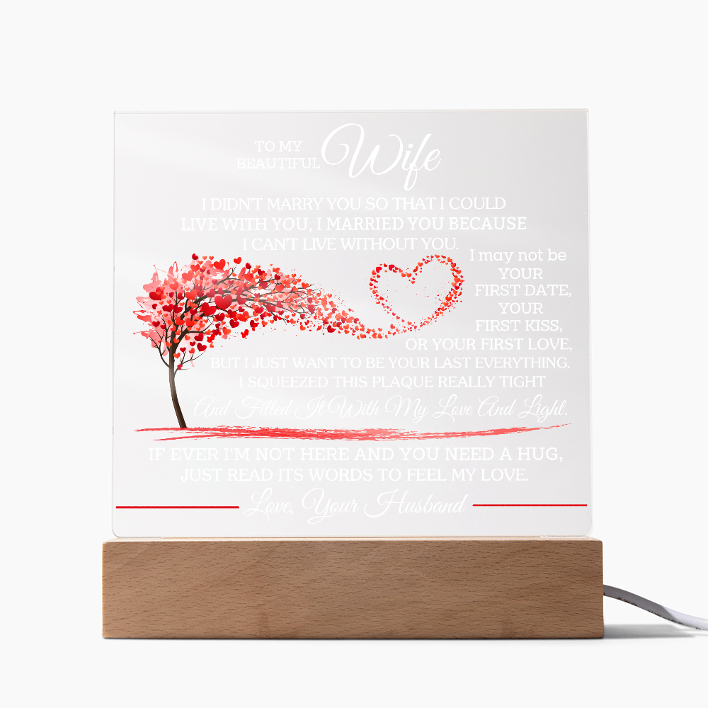 To My Beautiful Wife - I Didn't Marry You So That I Could Live With You