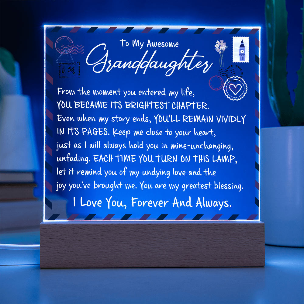 To My Awesome Granddaughter - From The Moment You Entered My Life