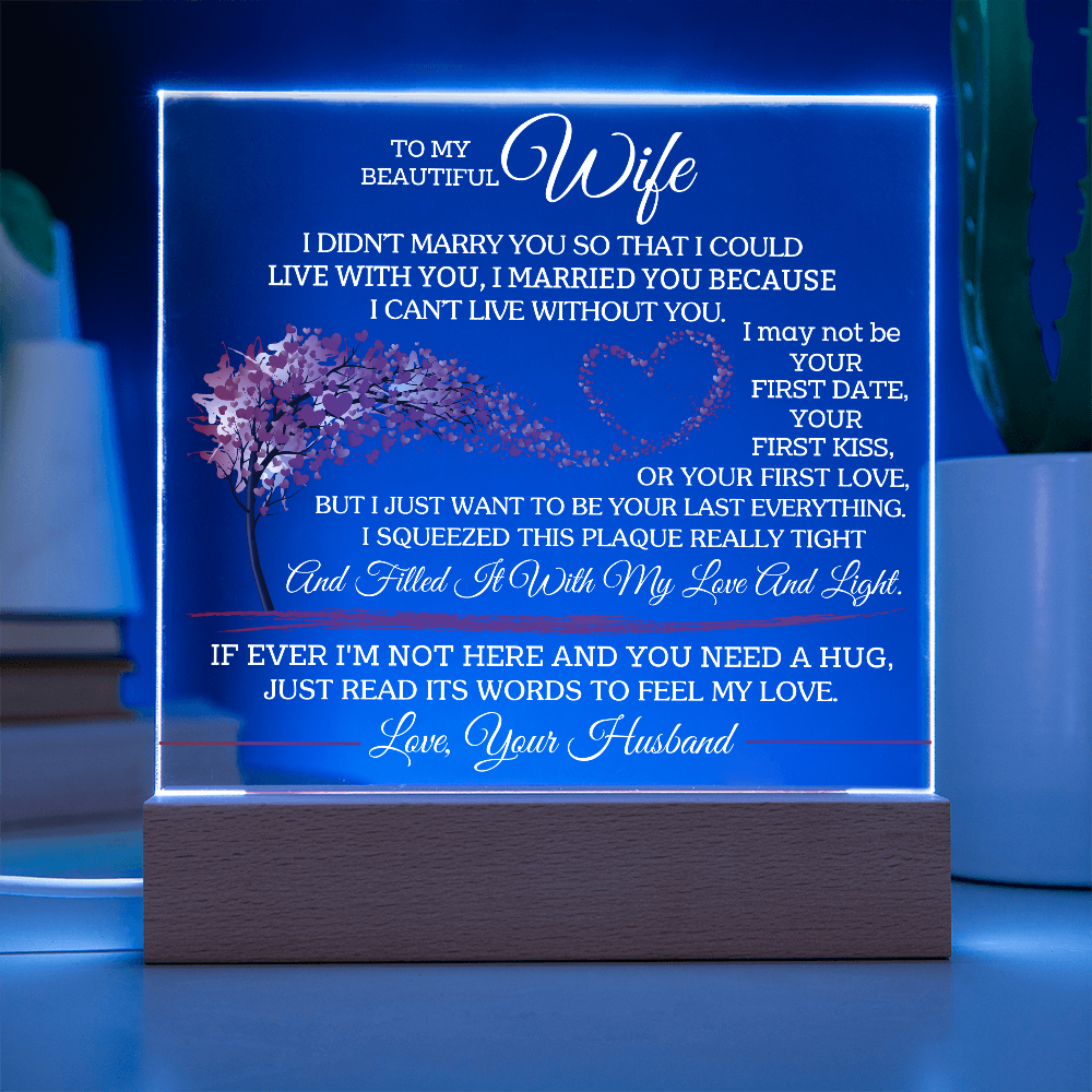 To My Beautiful Wife - I Didn't Marry You So That I Could Live With You
