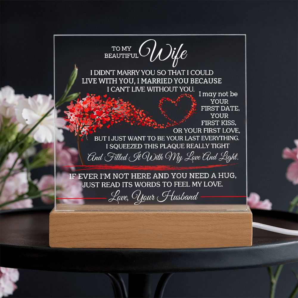 To My Beautiful Wife - I Didn't Marry You So That I Could Live With You