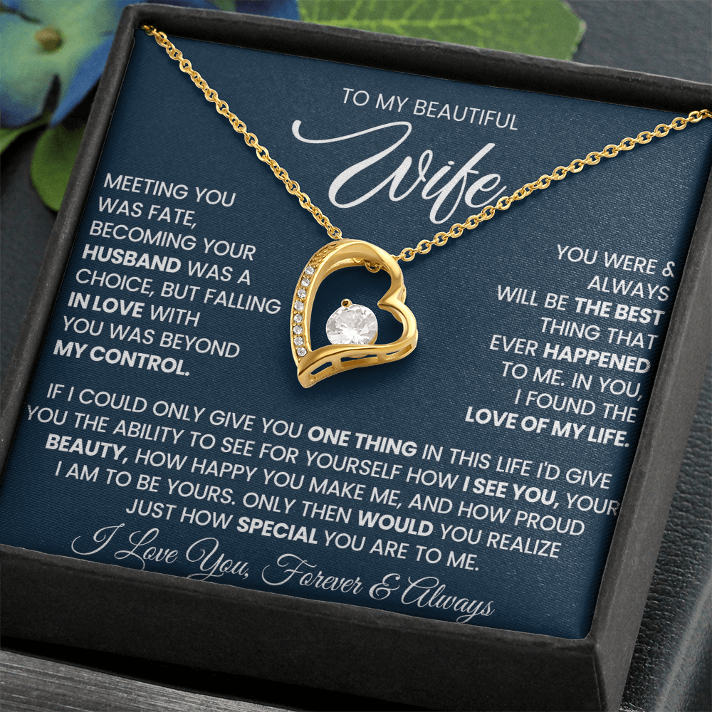To My Beautiful Wife - Meeting You Was Fate
