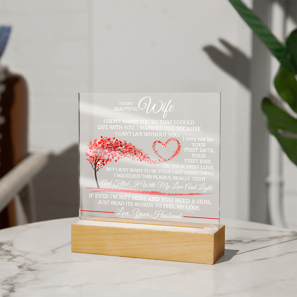 To My Beautiful Wife - I Didn't Marry You So That I Could Live With You