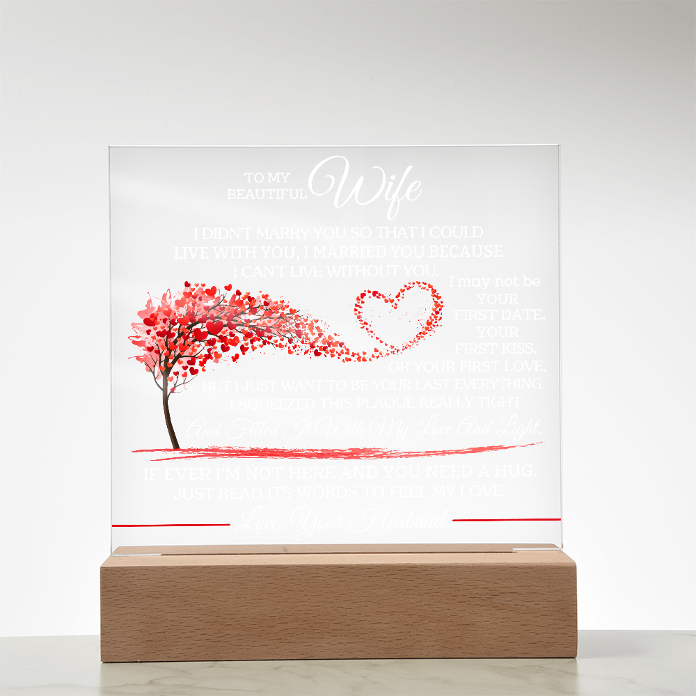 To My Beautiful Wife - I Didn't Marry You So That I Could Live With You