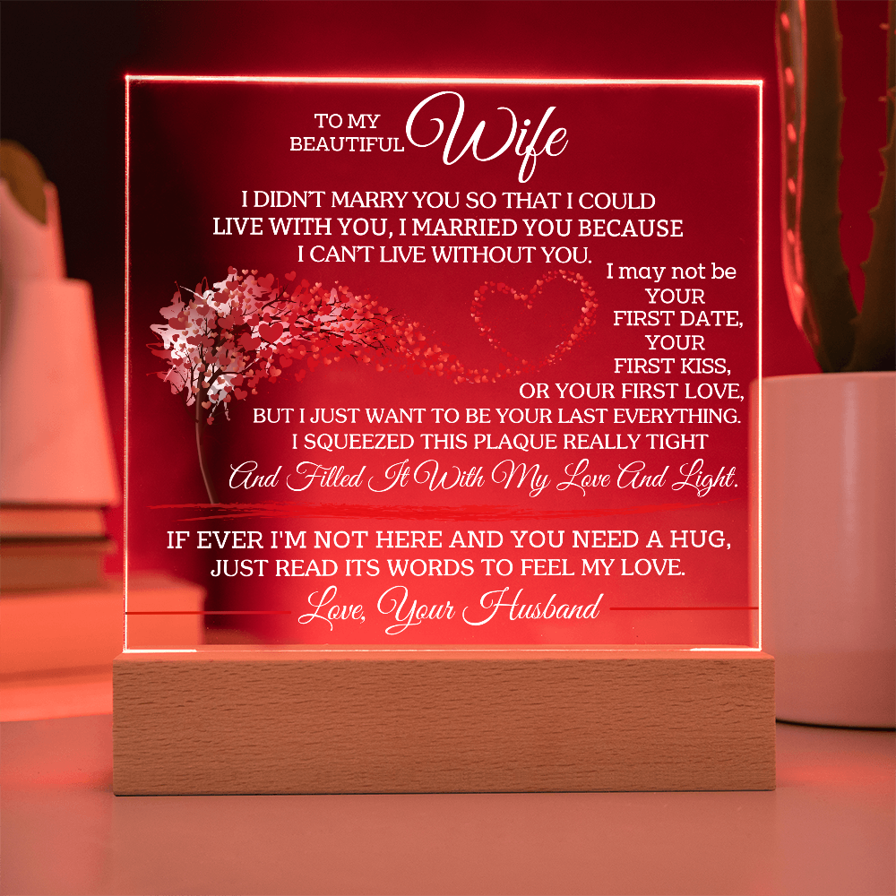 To My Beautiful Wife - I Didn't Marry You So That I Could Live With You