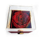 To My Beautiful Daughter - I Closed My Eyes For But A Moment Love Knot Necklace with Rotating Rose Gift Box