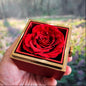 To My Beautiful Daughter - I Closed My Eyes For But A Moment Love Knot Necklace with Rotating Rose Gift Box