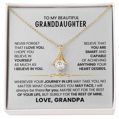 To My Beautiful Granddaughter - Never Forget That I Love You - LV163