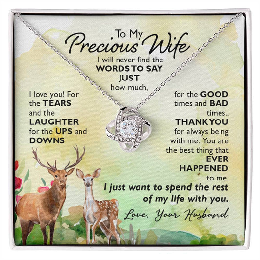 To My Precious Wife, I Will Never Find The Words To Say