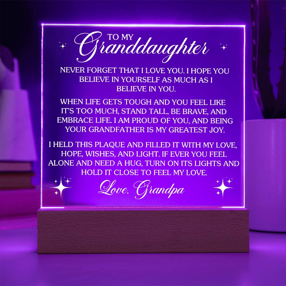 To My Granddaughter - Never Forget That I Love You - Acrylic Plaque